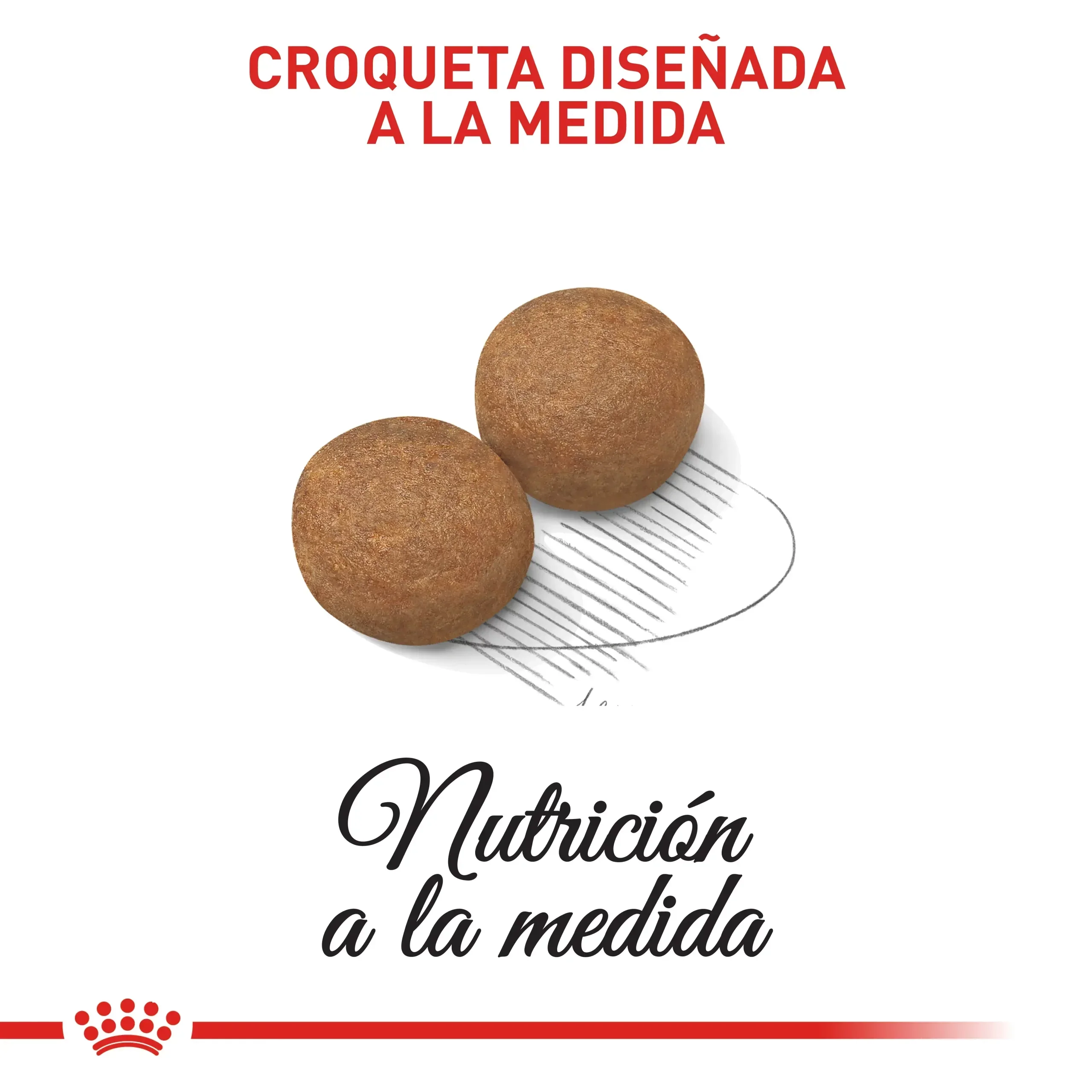 Comida Para Perro Royal Canin Shn Maxi Adulto 4 Kg - Image 4