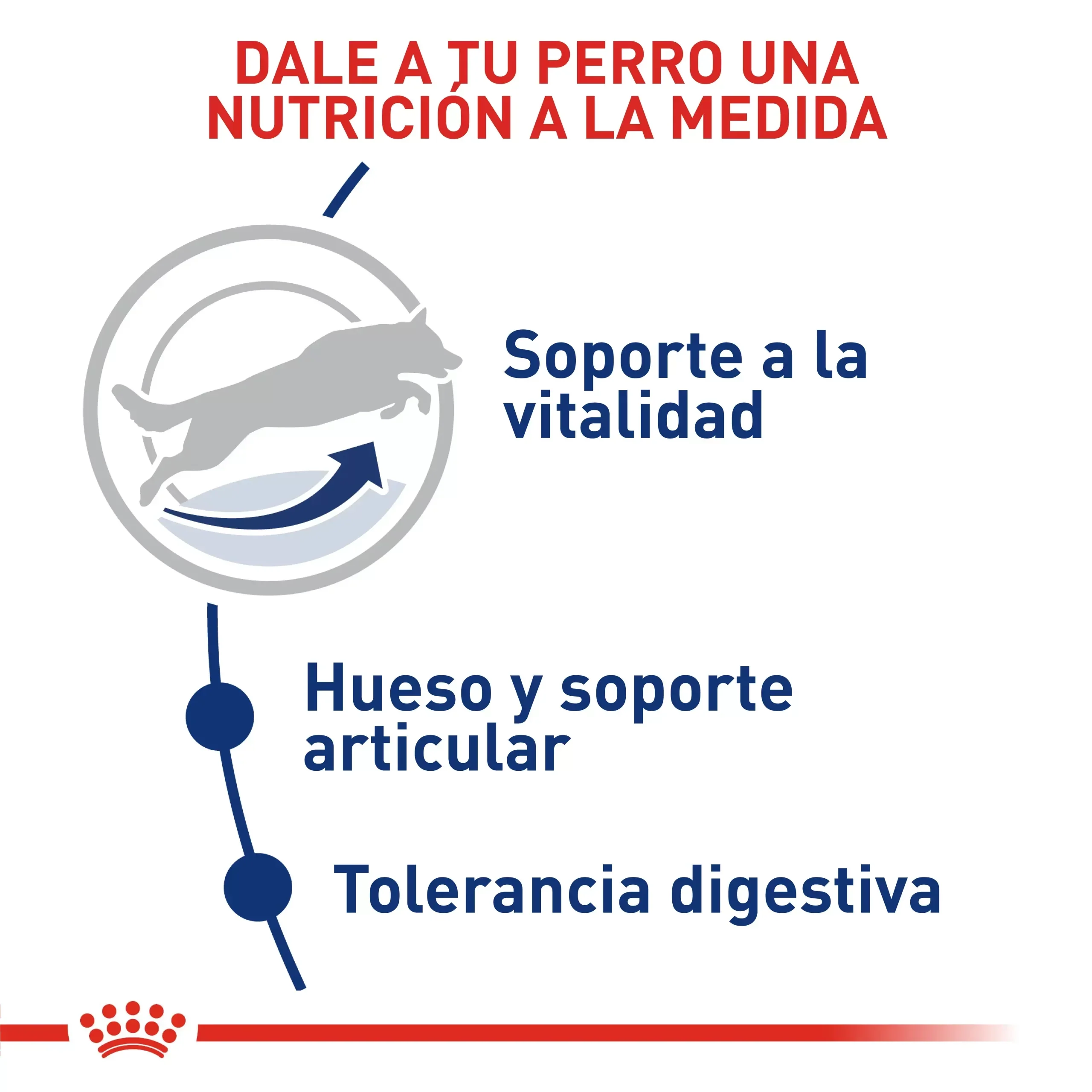 Comida Para Perro  Royal Canin Shn Maxi Adulto  5+ 15Kg - Image 2