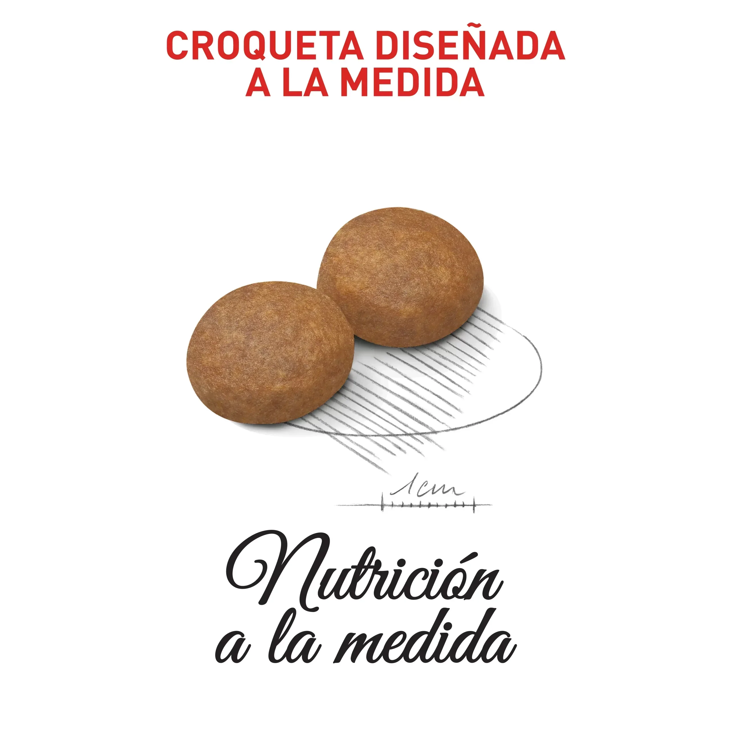 Comida Para Perro  Royal Canin Shn Maxi Adulto  5+ 15Kg - Image 3