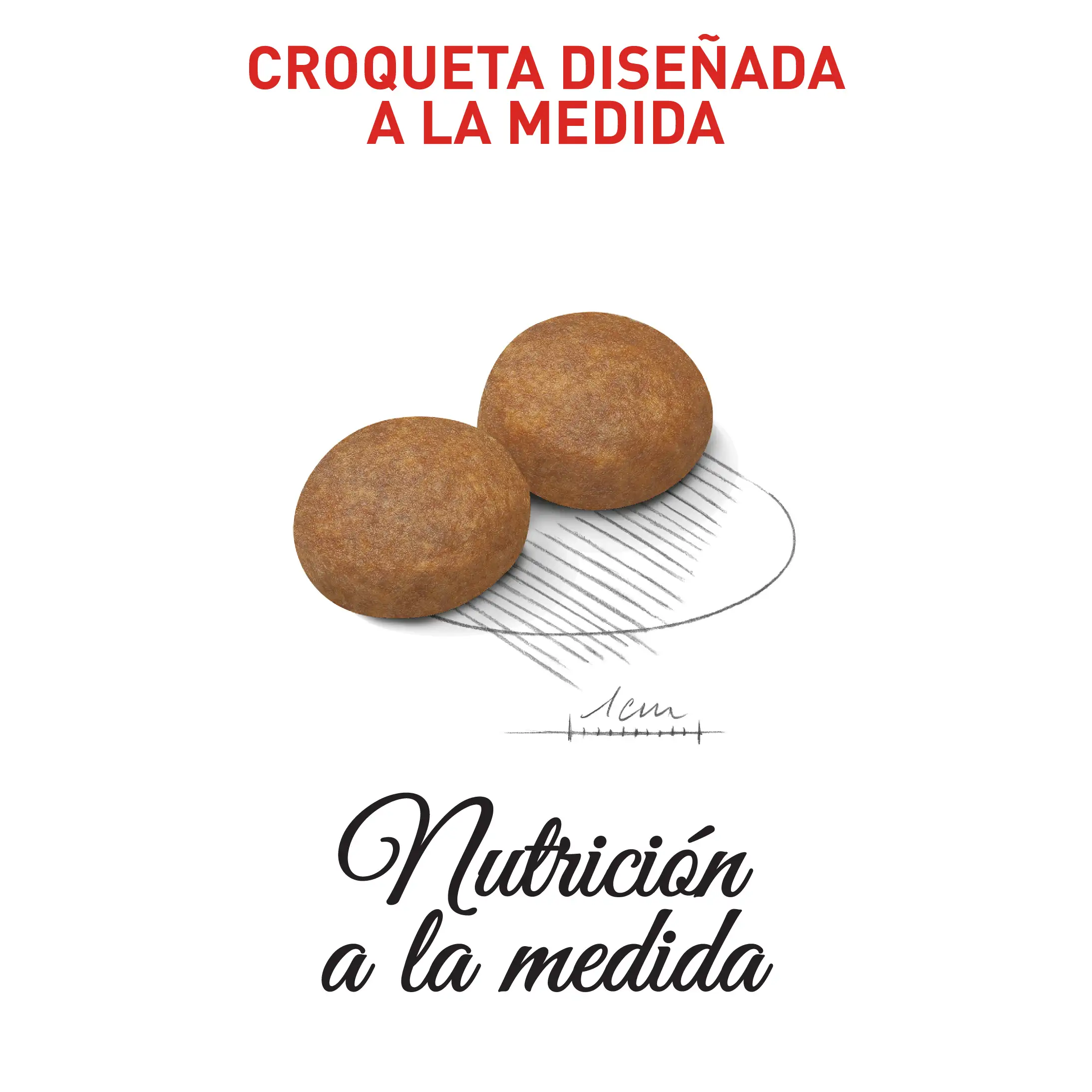 Comida Para Perro  Royal Canin Shn Medium Adulto - Image 4