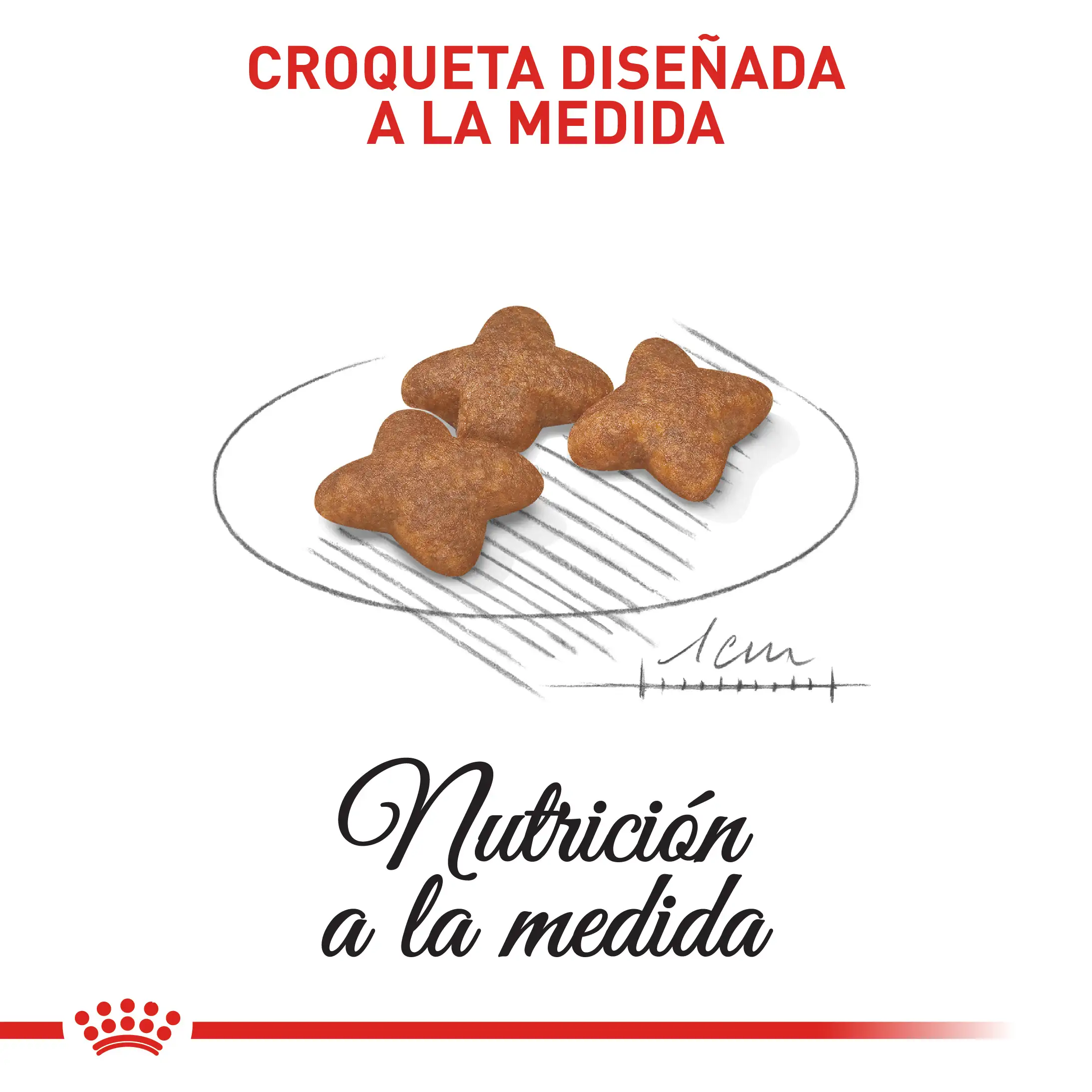 Comida Para Perro Royal Canin Shn Mini Adulto - Image 4
