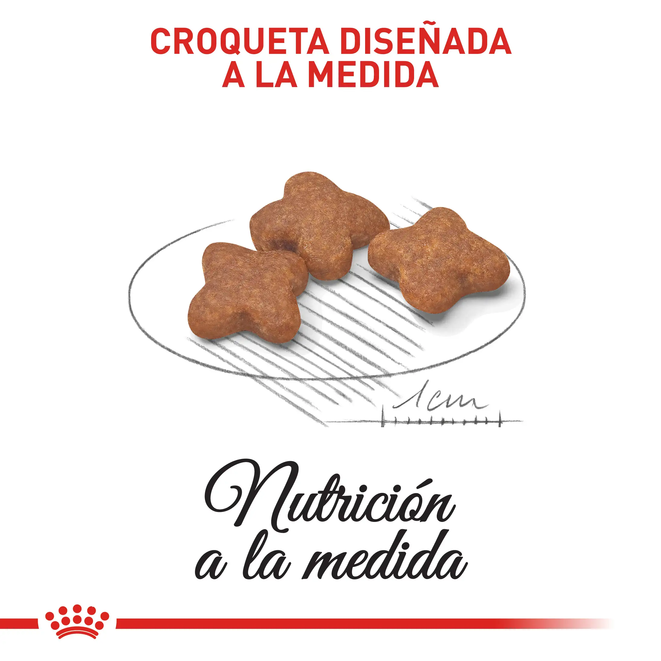 Comida Para Perro Royal Canin Shn Mini Mature 8+ 2Kg - Image 3