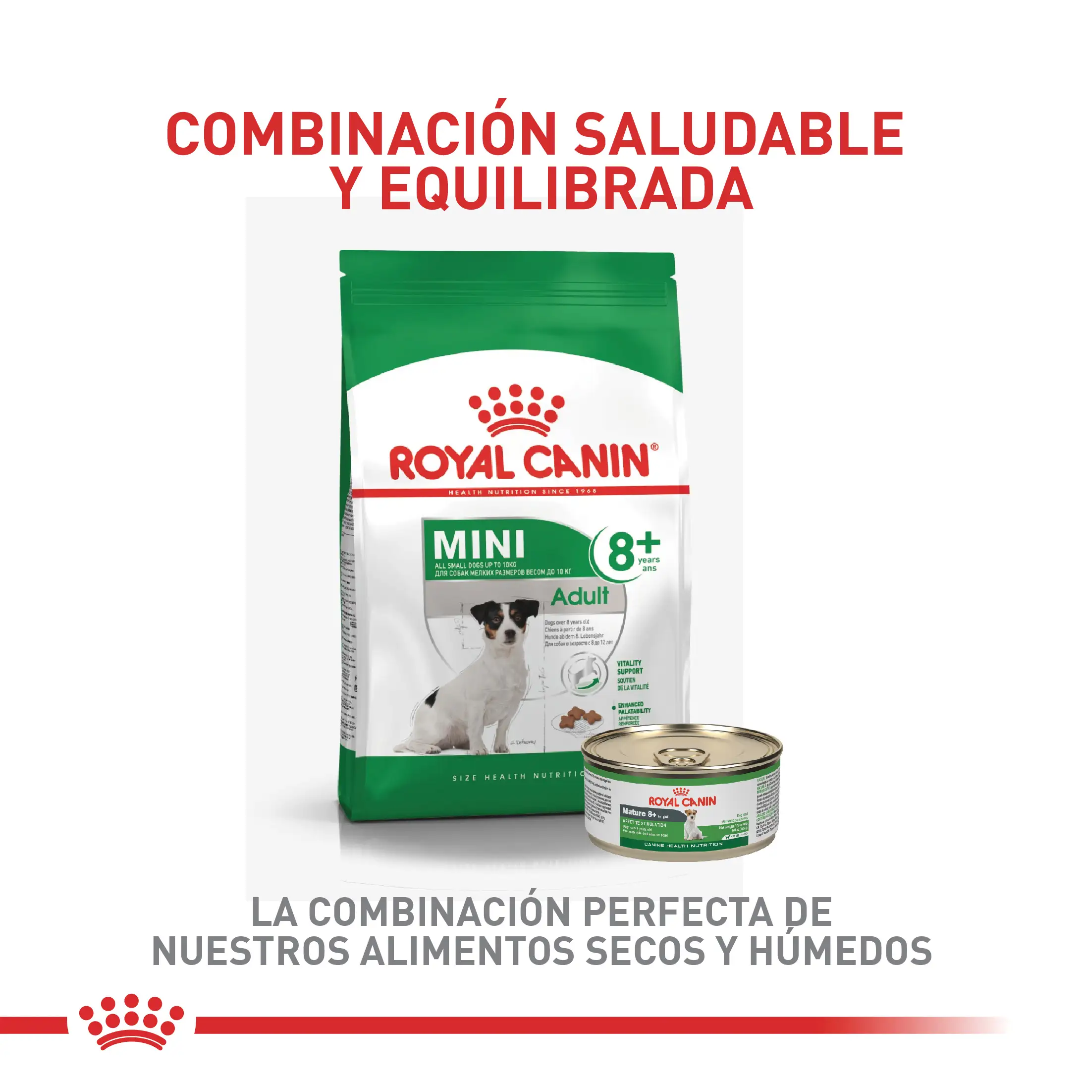 Comida Para Perro Royal Canin Shn Mini Mature 8+ 2Kg - Image 4