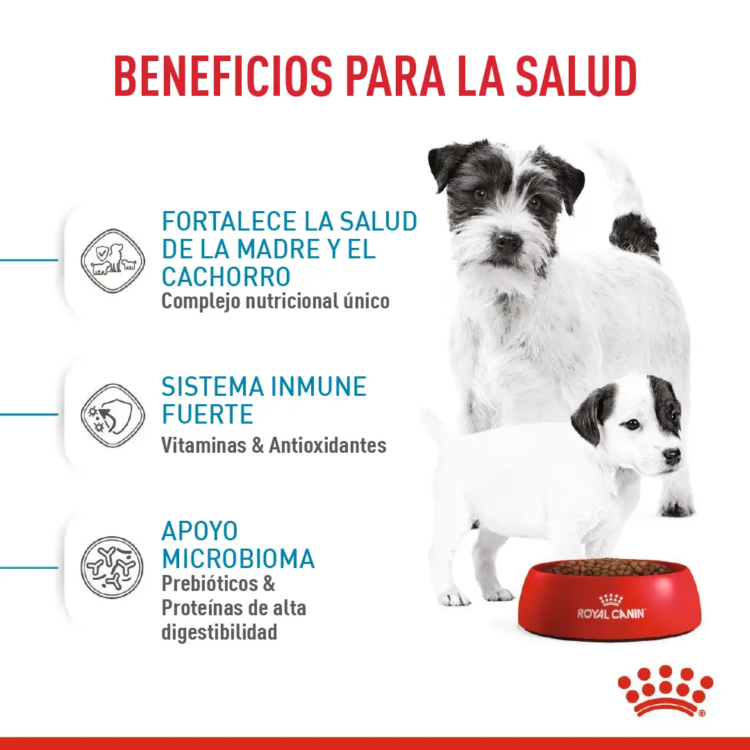 Comida Para Perro Shn Mini Starter Mother & Baby Dog 1Kg - Image 3
