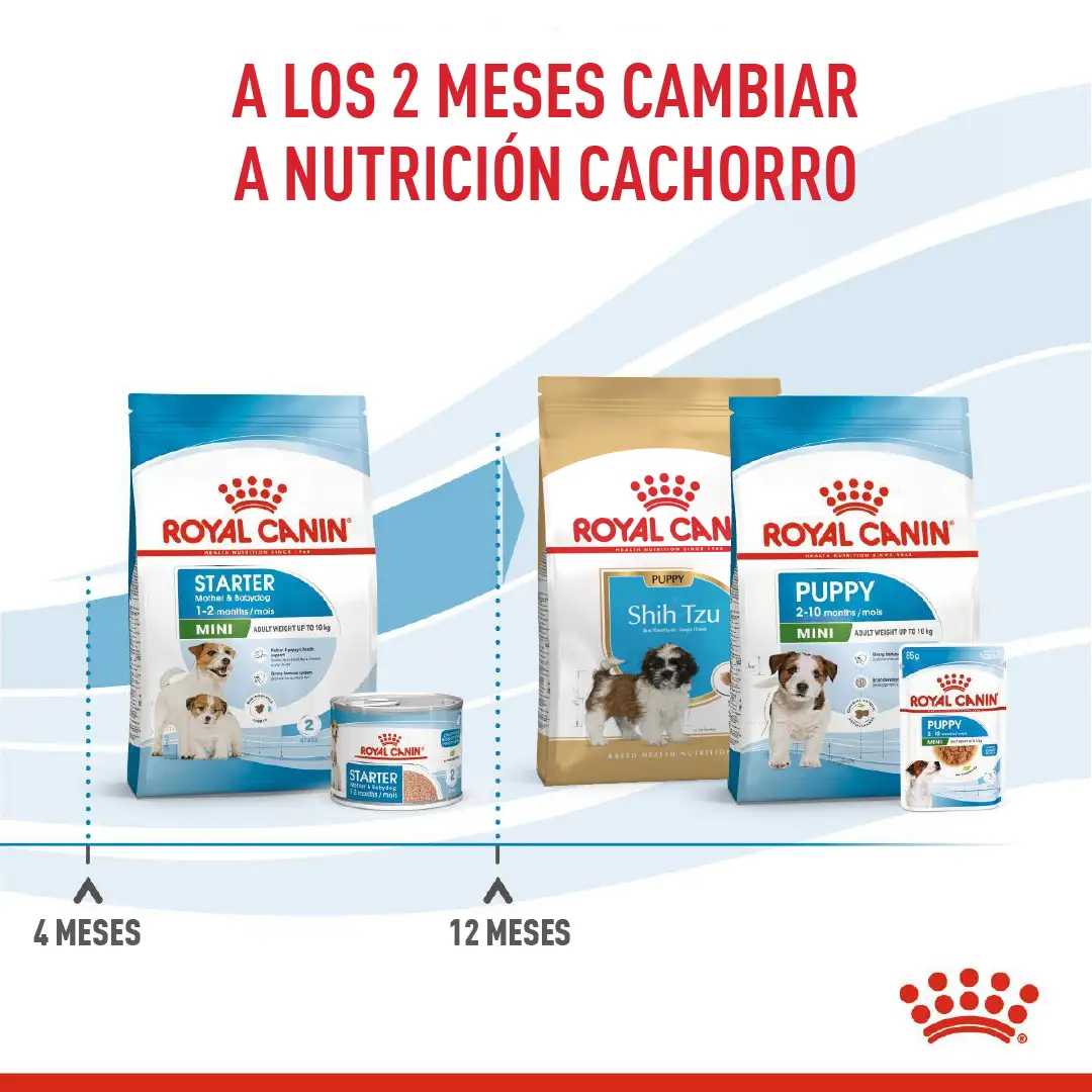 Comida Para Perro Shn Mini Starter Mother & Baby Dog 1Kg - Image 8