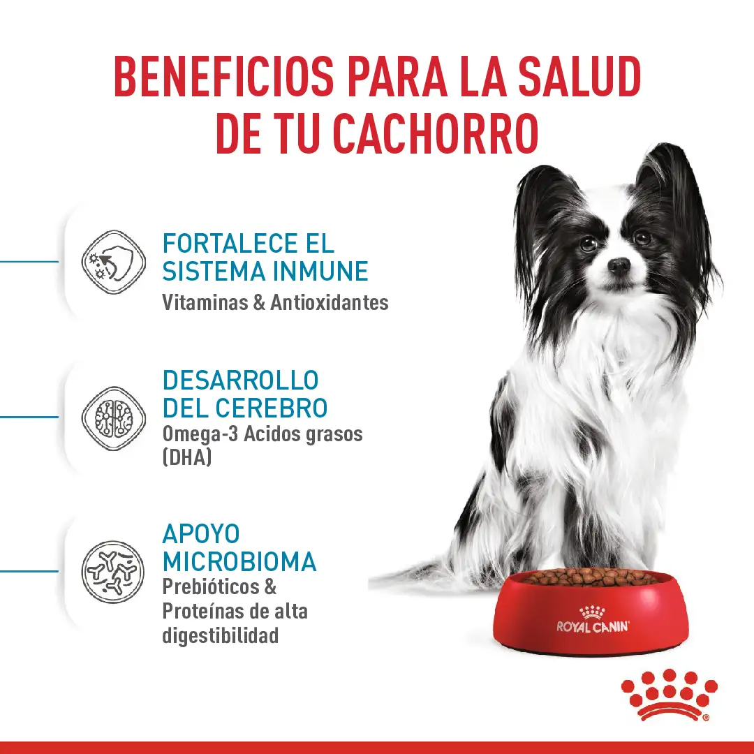 Comida Para Perro Royal Canin Shn X-Small Puppy 1.5 Kg - Image 3