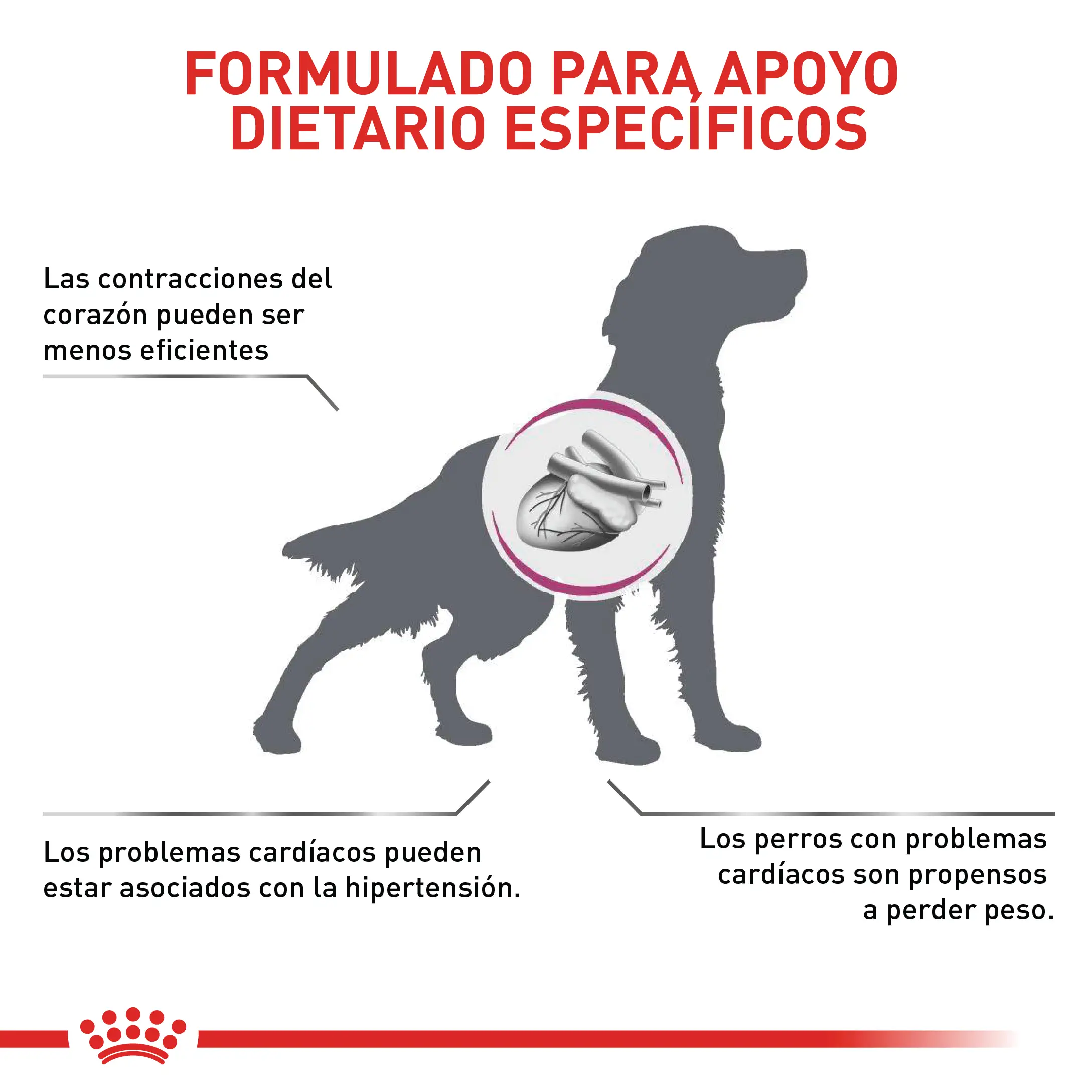 Comida Para Perro Royal Canin Vhn Cardiac 2 Kg - Image 2