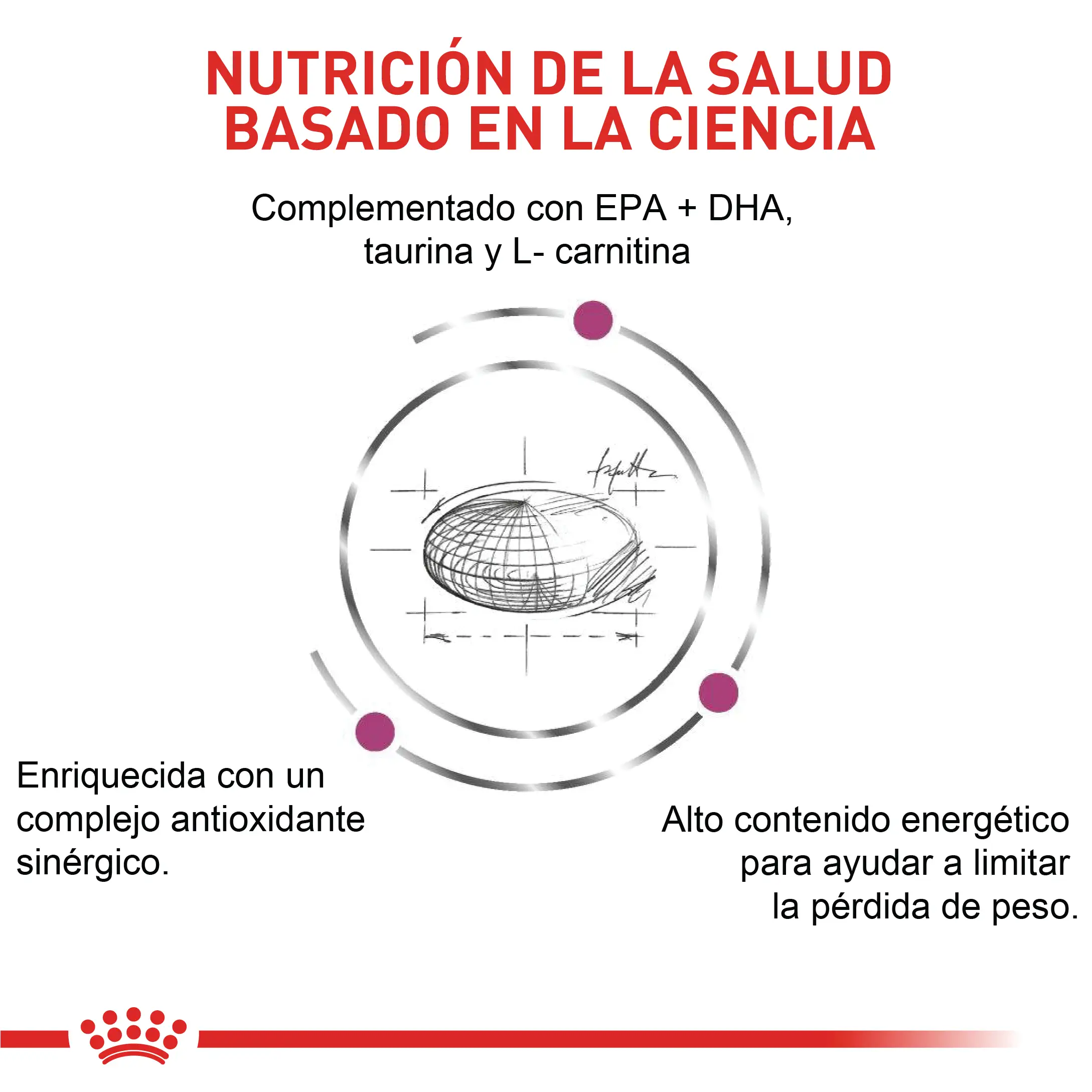 Comida Para Perro Royal Canin Vhn Cardiac 2 Kg - Image 3