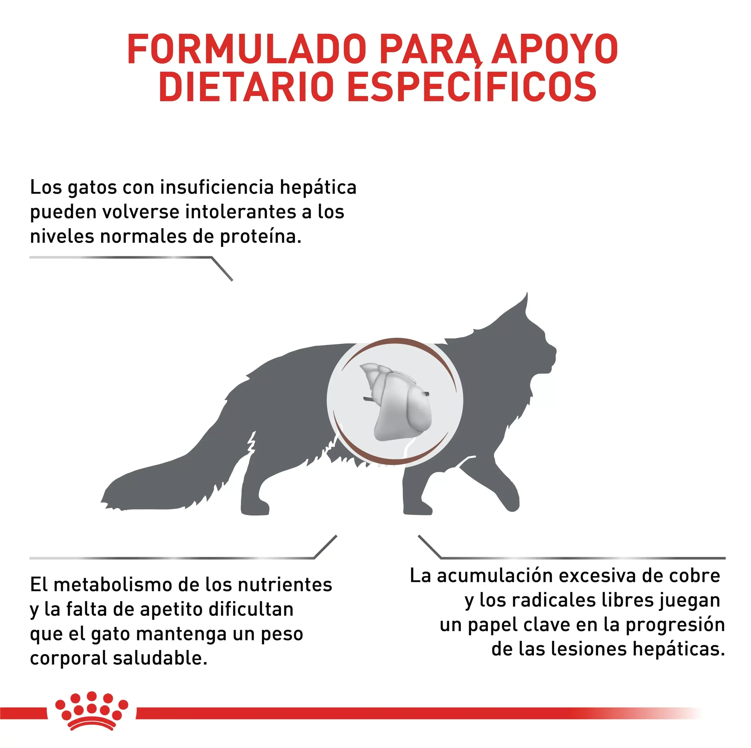 Comida Para Gato Royal Canin Vhn Hepatic 2 Kg - Image 3