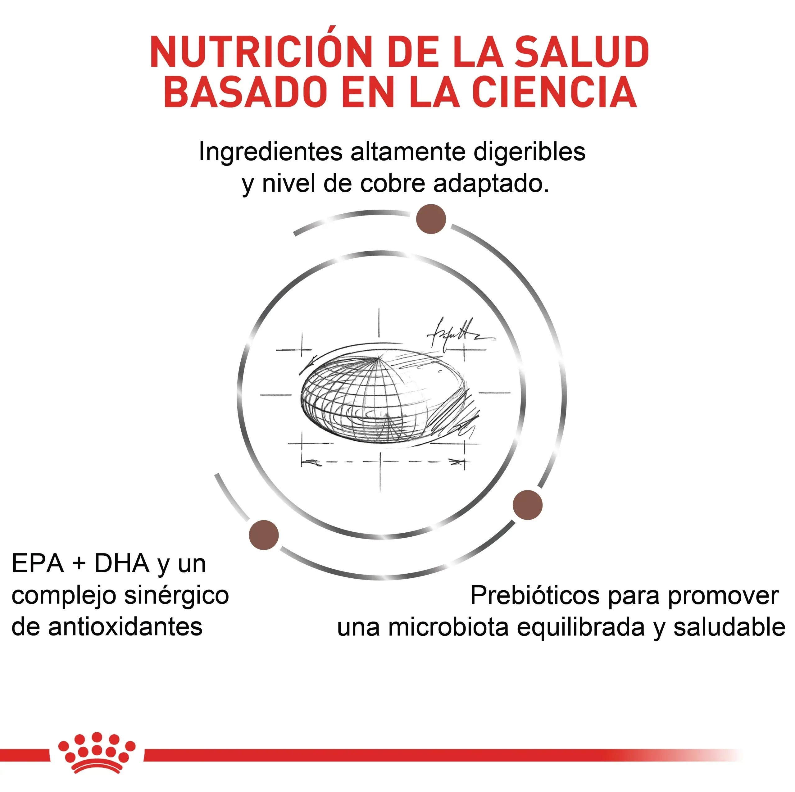 Comida Para Gato Royal Canin Vhn Hepatic 2 Kg - Image 4