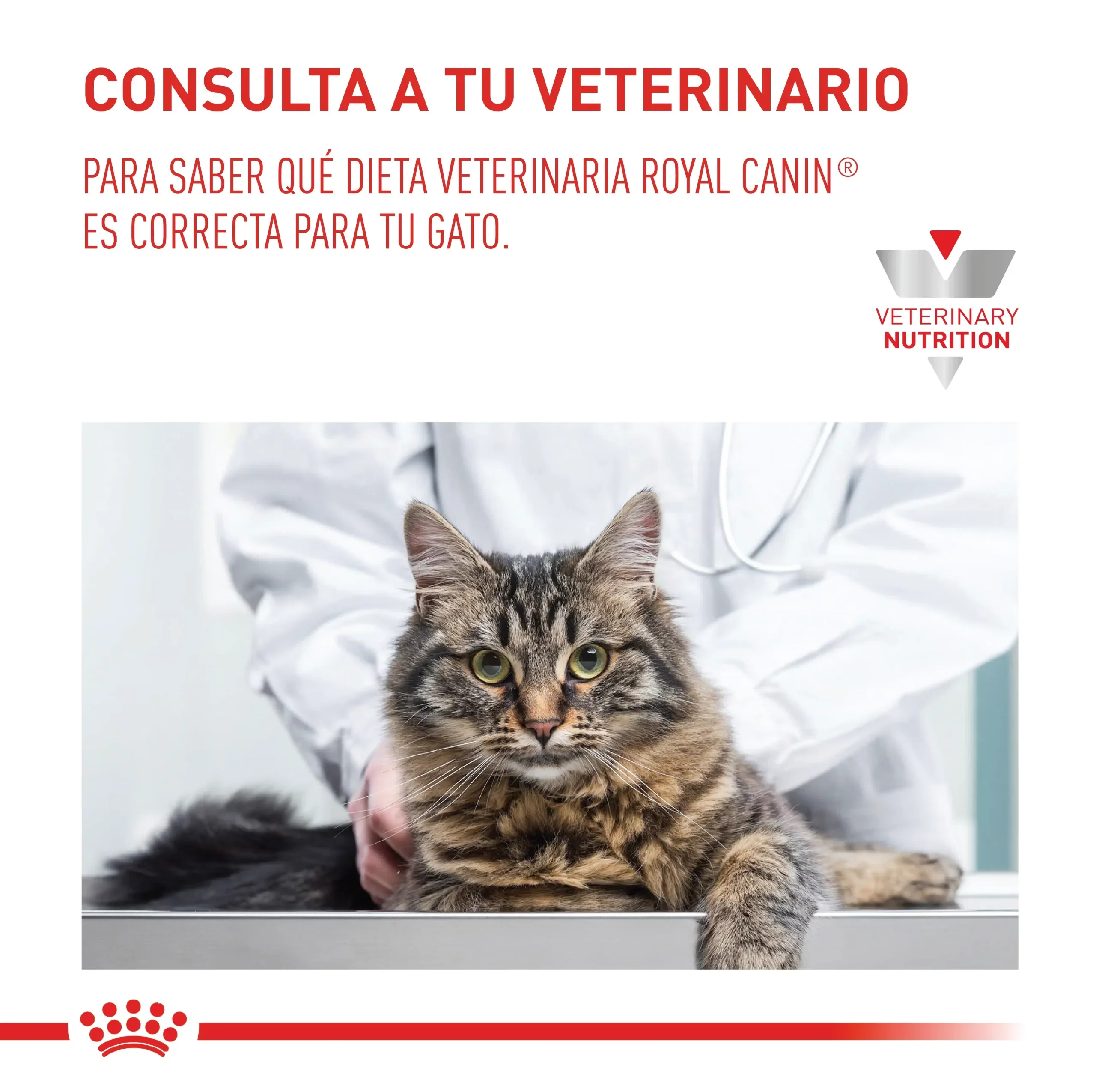 Comida Para Gato Royal Canin Vhn Satiety 1.5Kg - Image 9