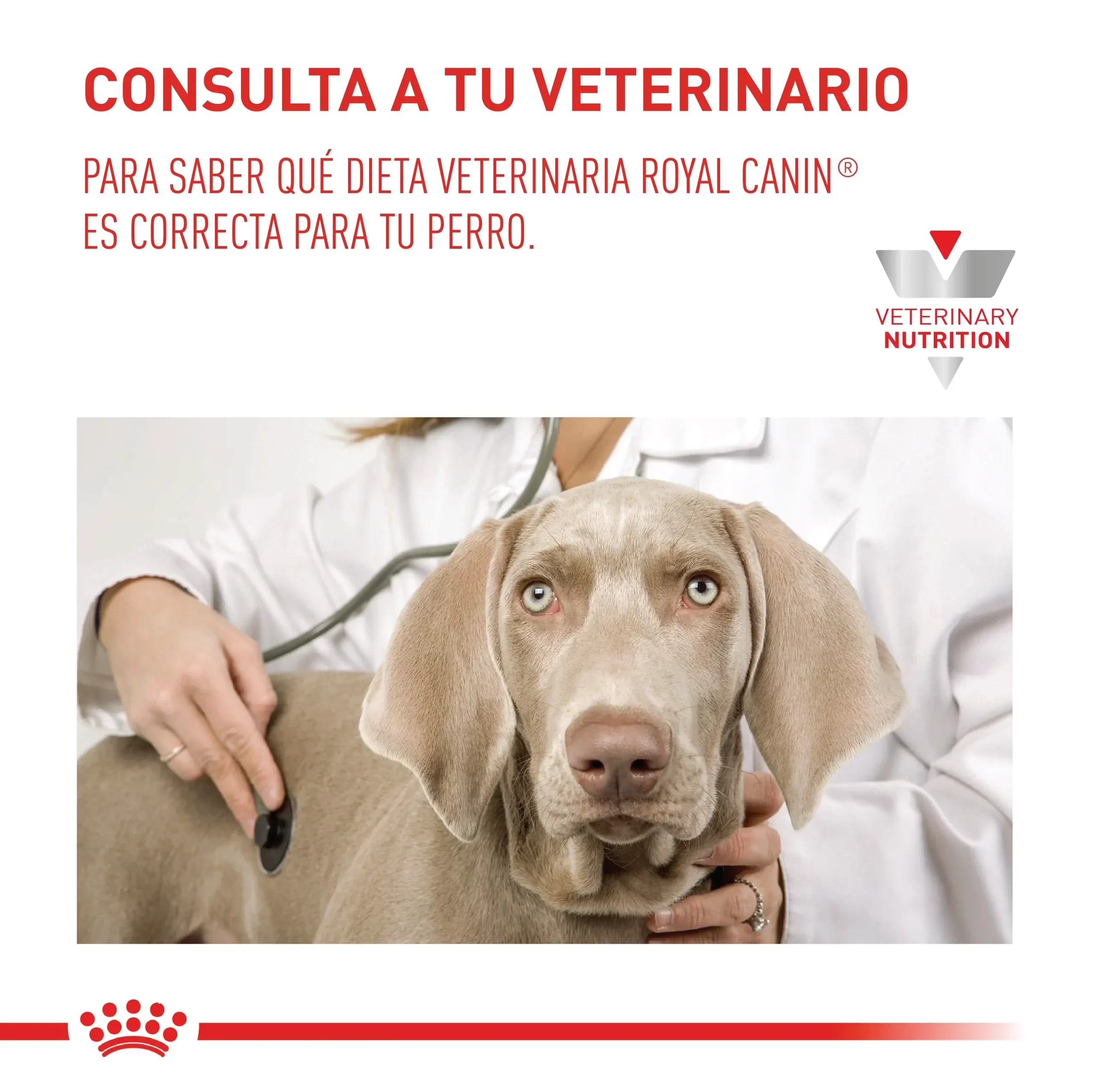 Comida Para Perro Royal Canin Vhn Satiety Support - Image 2