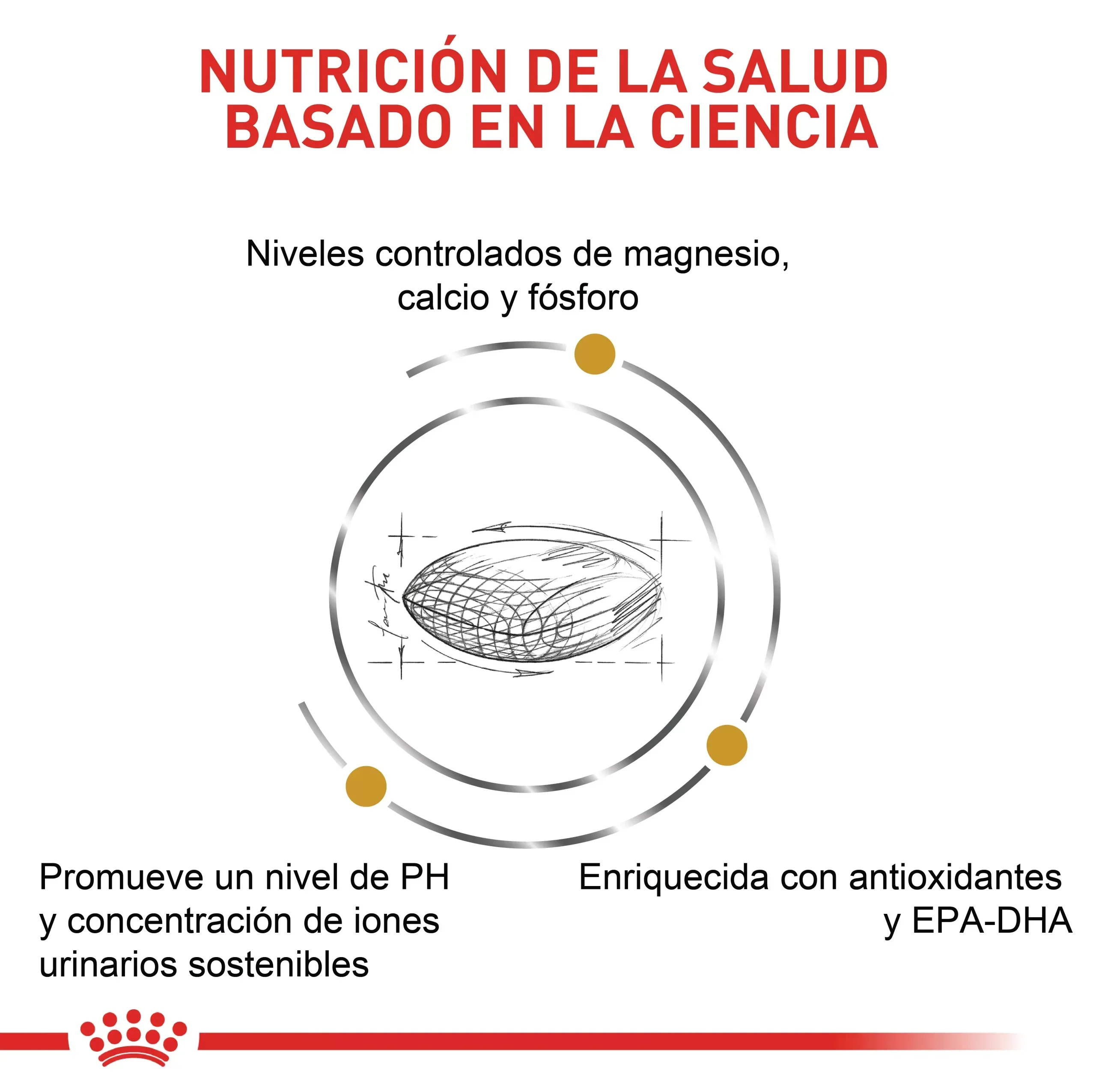 Comida Para Perro Royal Canin Vhn Urinary S/O 8 Kg - Image 10