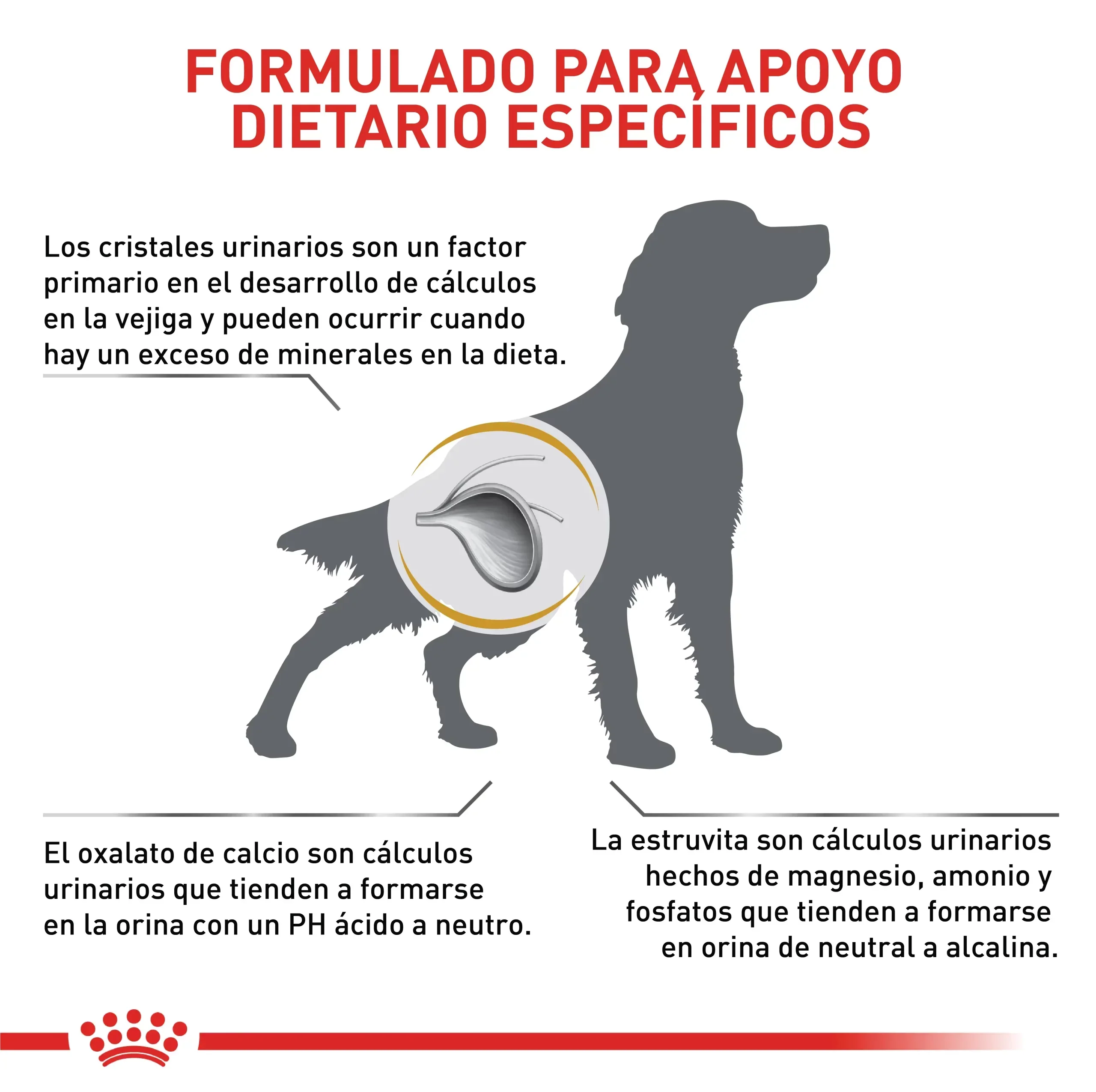 Comida Para Perro Royal Canin Vhn Urinary S/O 8 Kg - Image 3