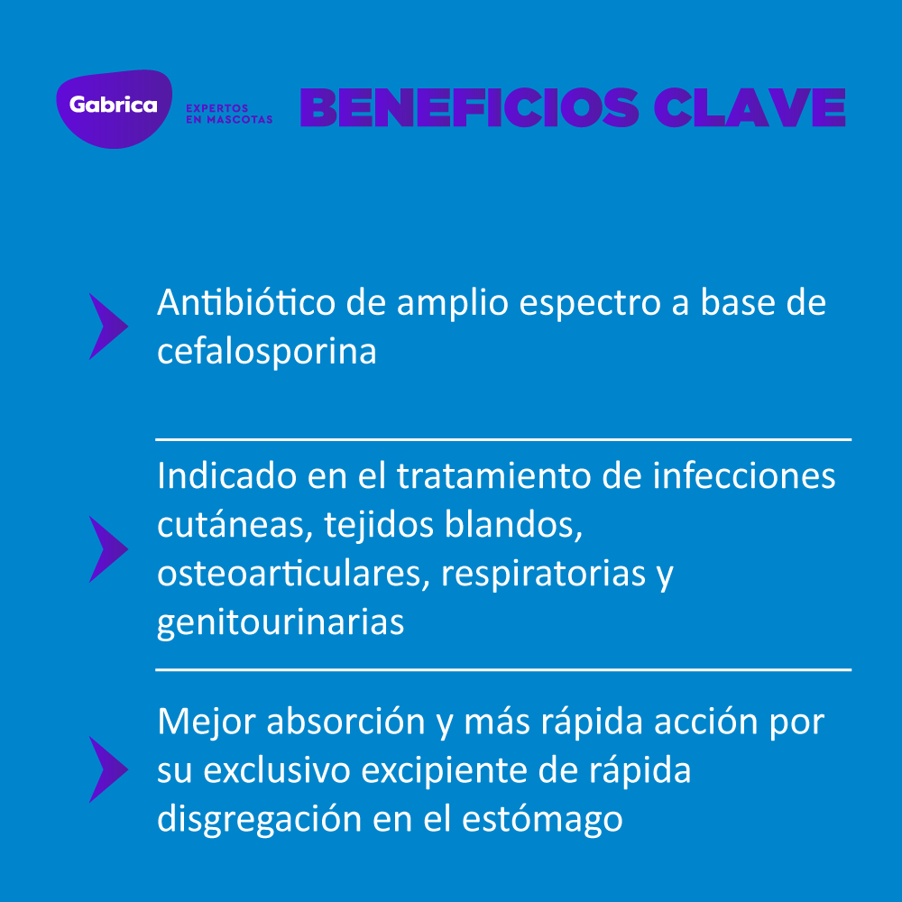 Cefalexina Antibiótico 500Mg 50 Tabletas - Image 4