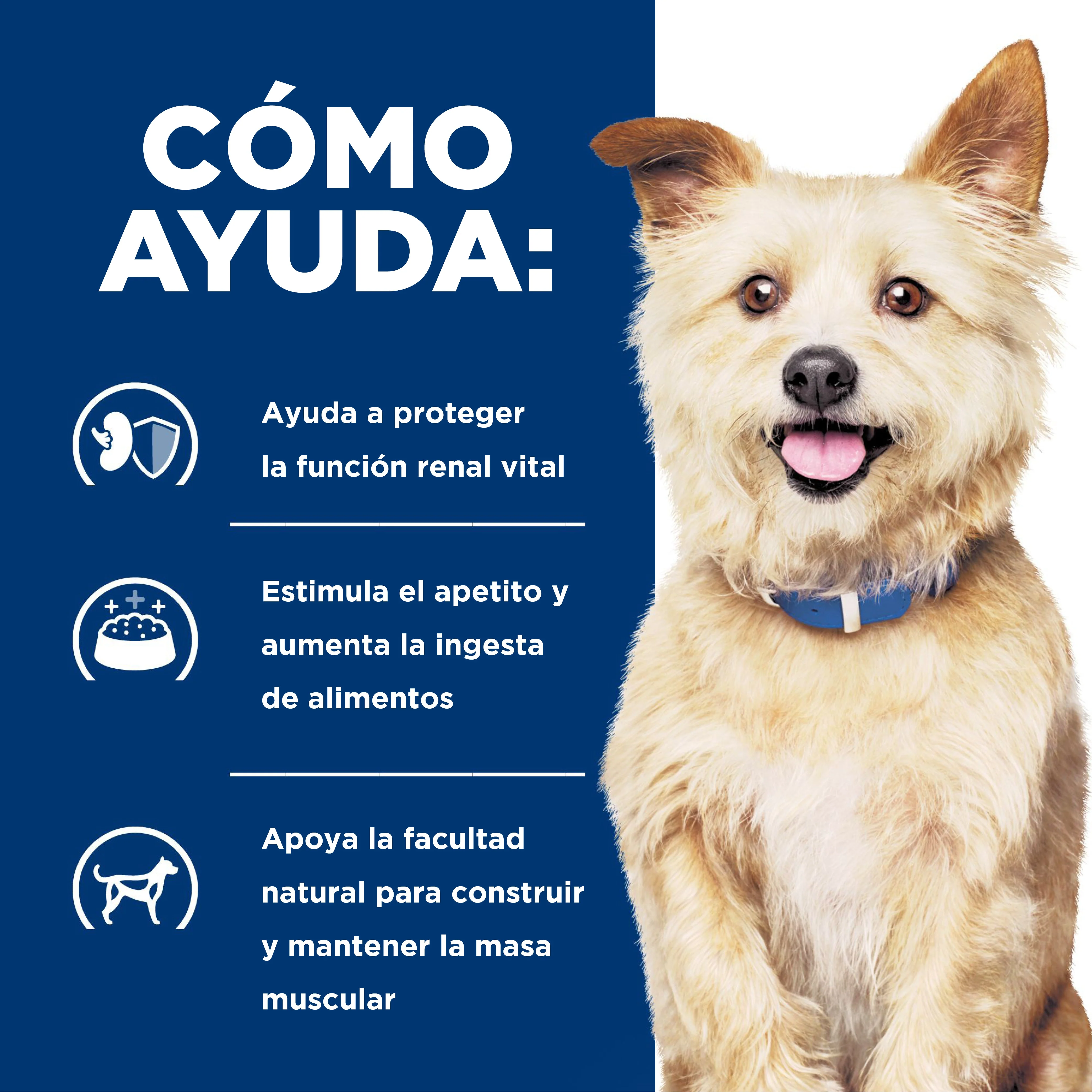 Comida Húmeda Para Perro Hills Prescription Cuidado Renal K/D 13 Onz - Image 3