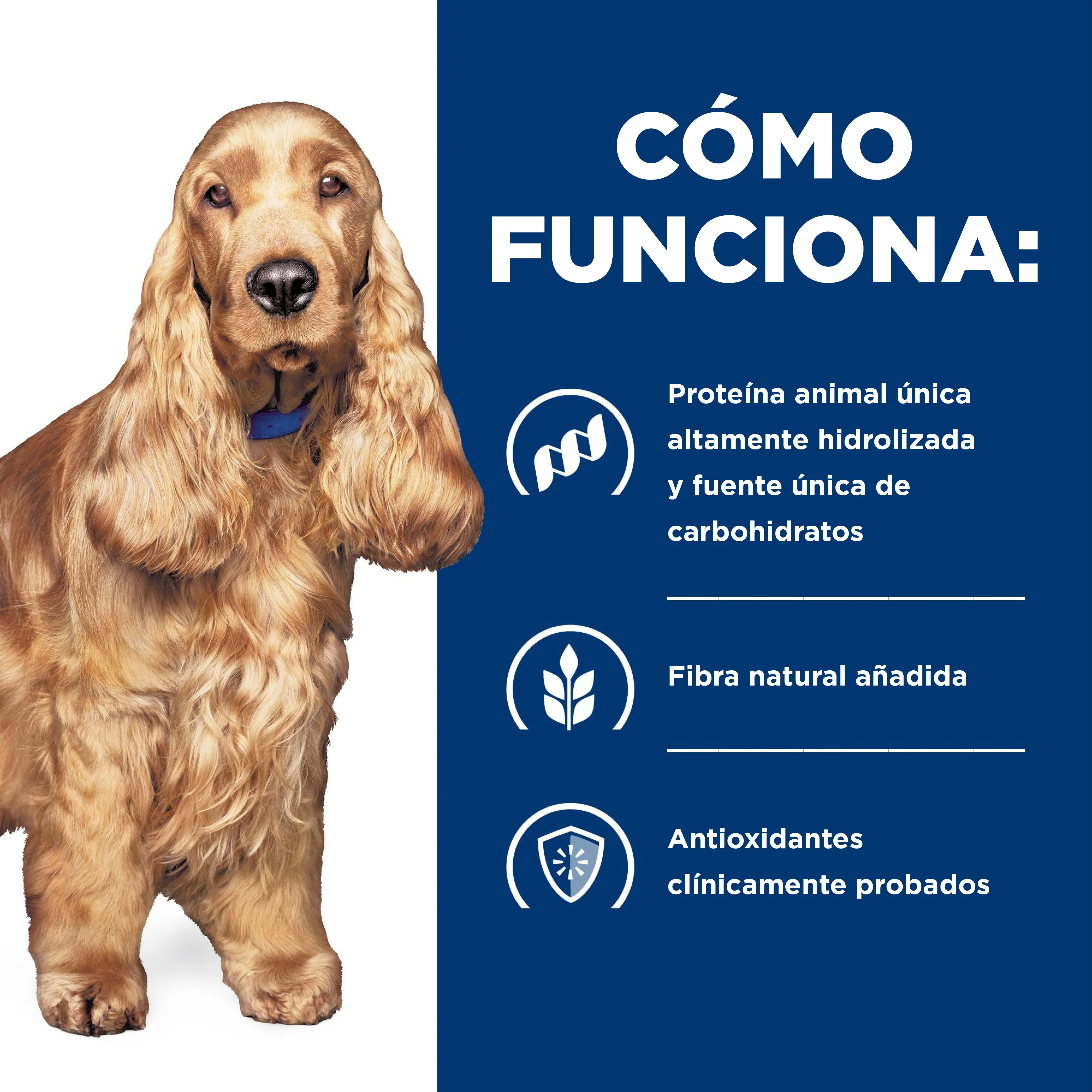 Hill's Prescription Diet z/d Comida Húmeda para perro sensibilidades alimentarias 13 Oz (369g) - Image 3