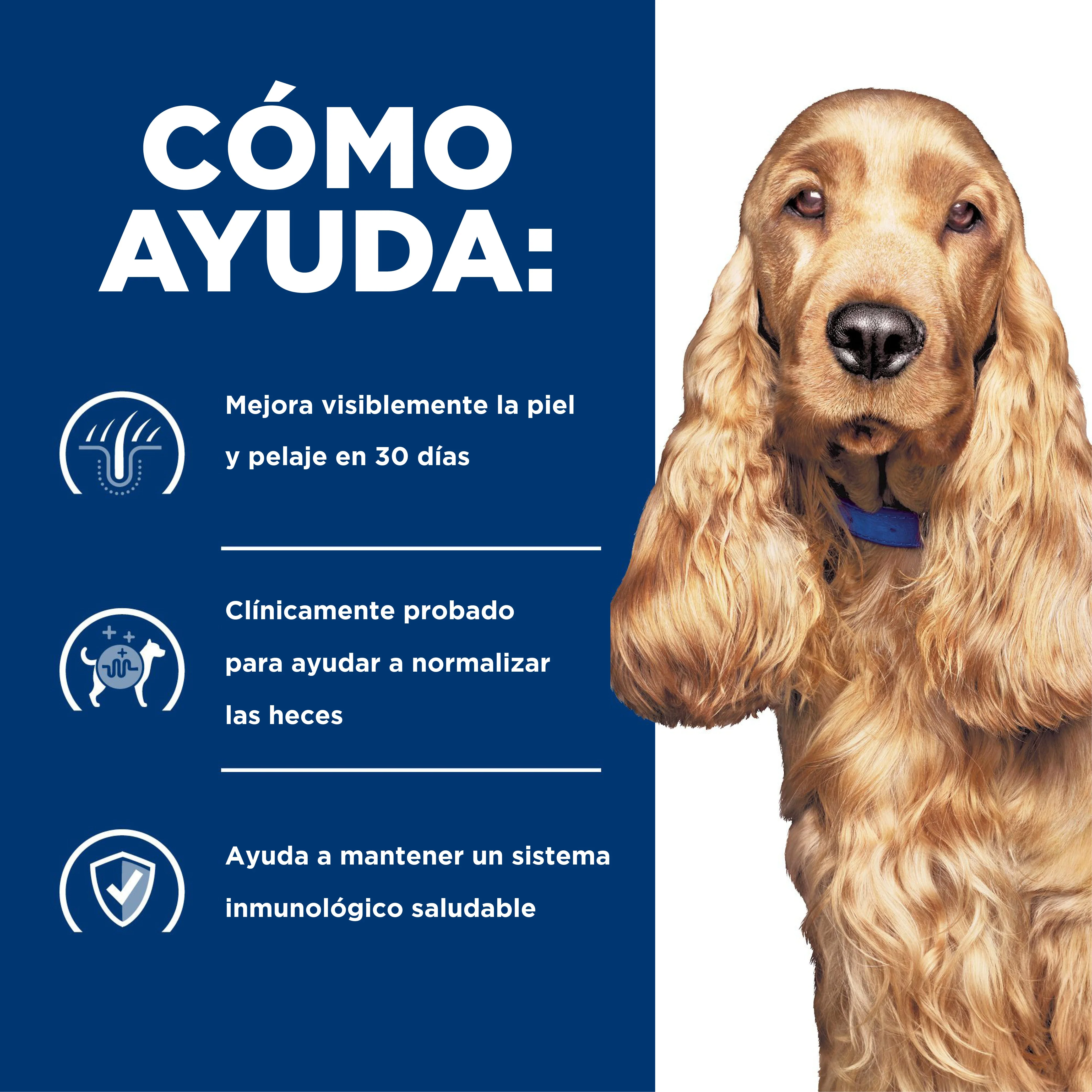 Hill's Prescription Diet z/d Comida Húmeda para perro sensibilidades alimentarias 13 Oz (369g) - Image 4