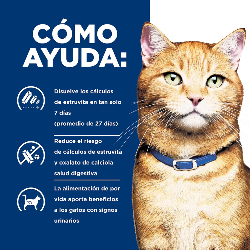 Hill's Prescription Diet c/d Multicare, Cuidado Urinario, alimento seco para Gato 4 Lb (1,81 Kg) - Image 3