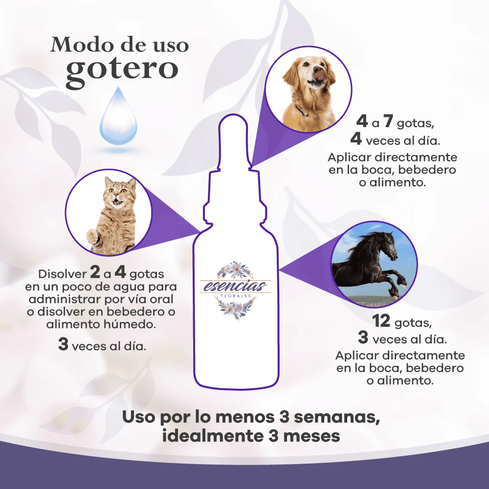 Esencia floral Senior Felino Gotas 30ML - Image 3