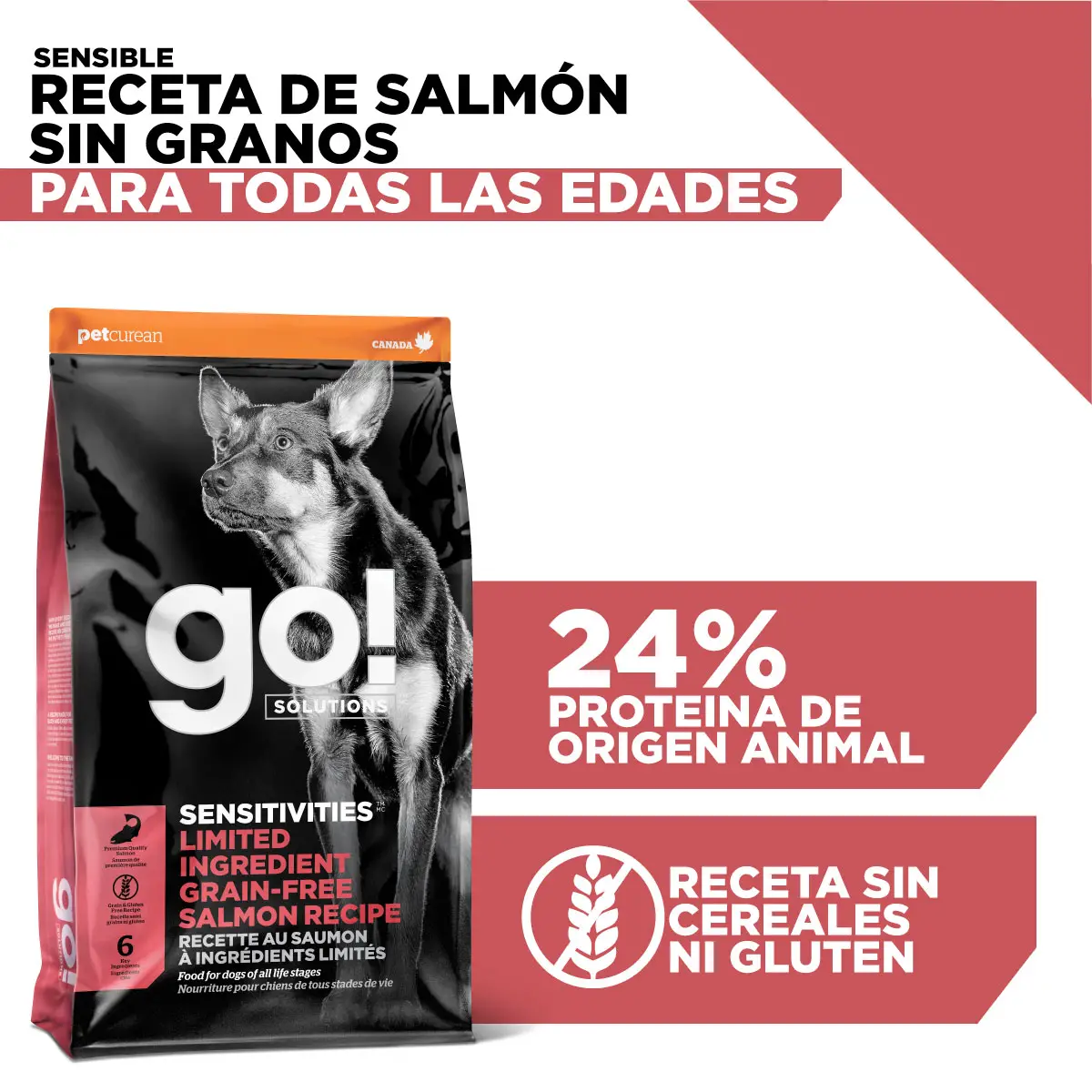 Comida Para Perro Go! Sensitivities limited ingredient grain free salmon recipe for dogs - Image 2