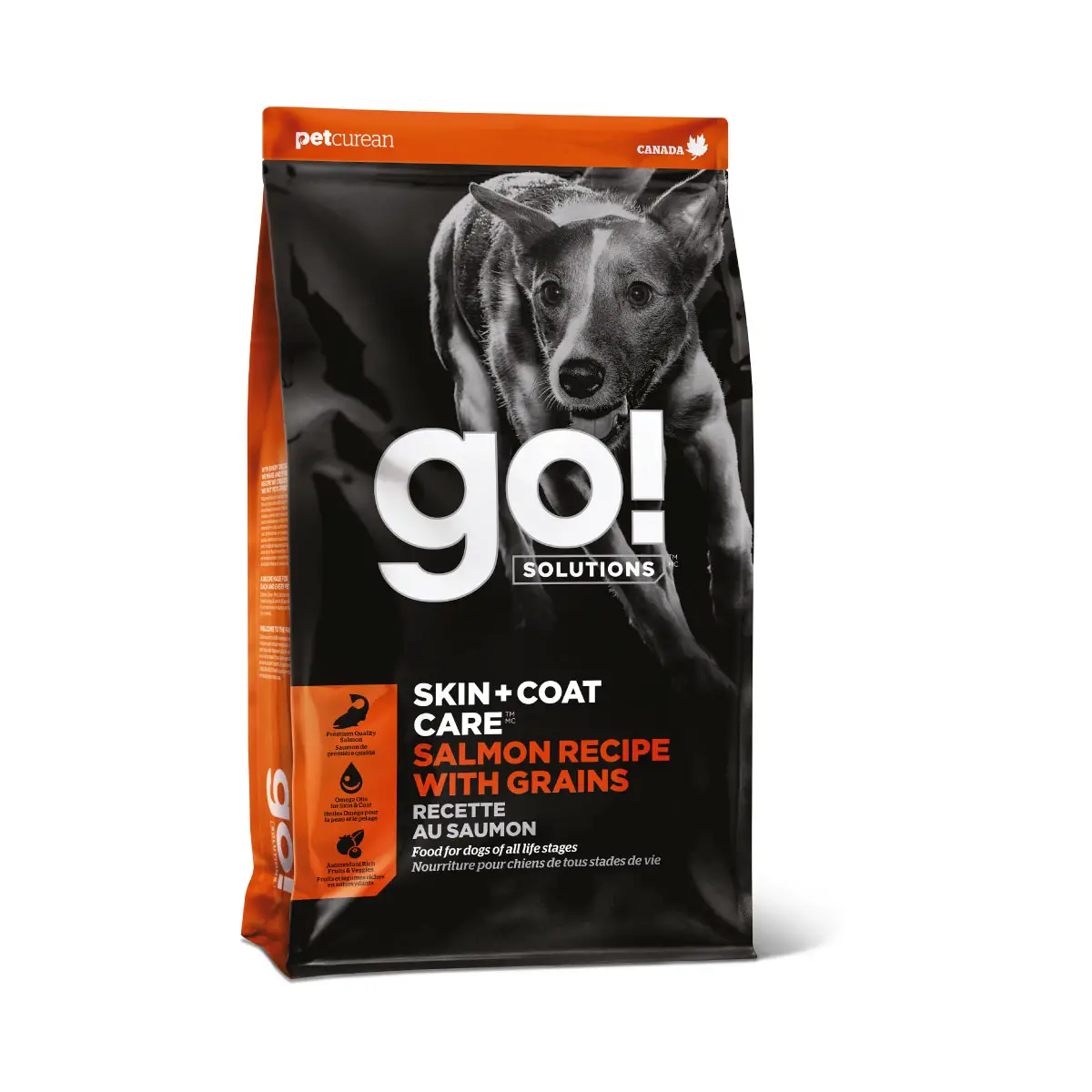 Comida Para Perro Go! Skin + coat care salmon recipe with grains for dogs