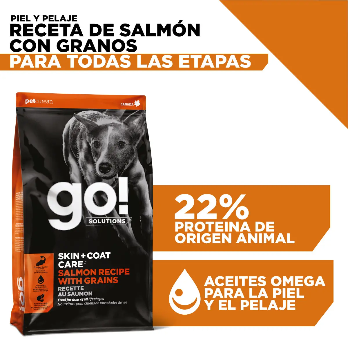 Comida Para Perro Go! Skin + coat care salmon recipe with grains for dogs - Image 2