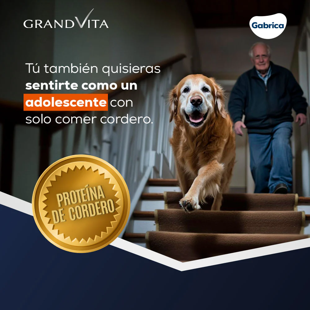 Comida para Perro Grandvita adulto senior 7+ - Image 3