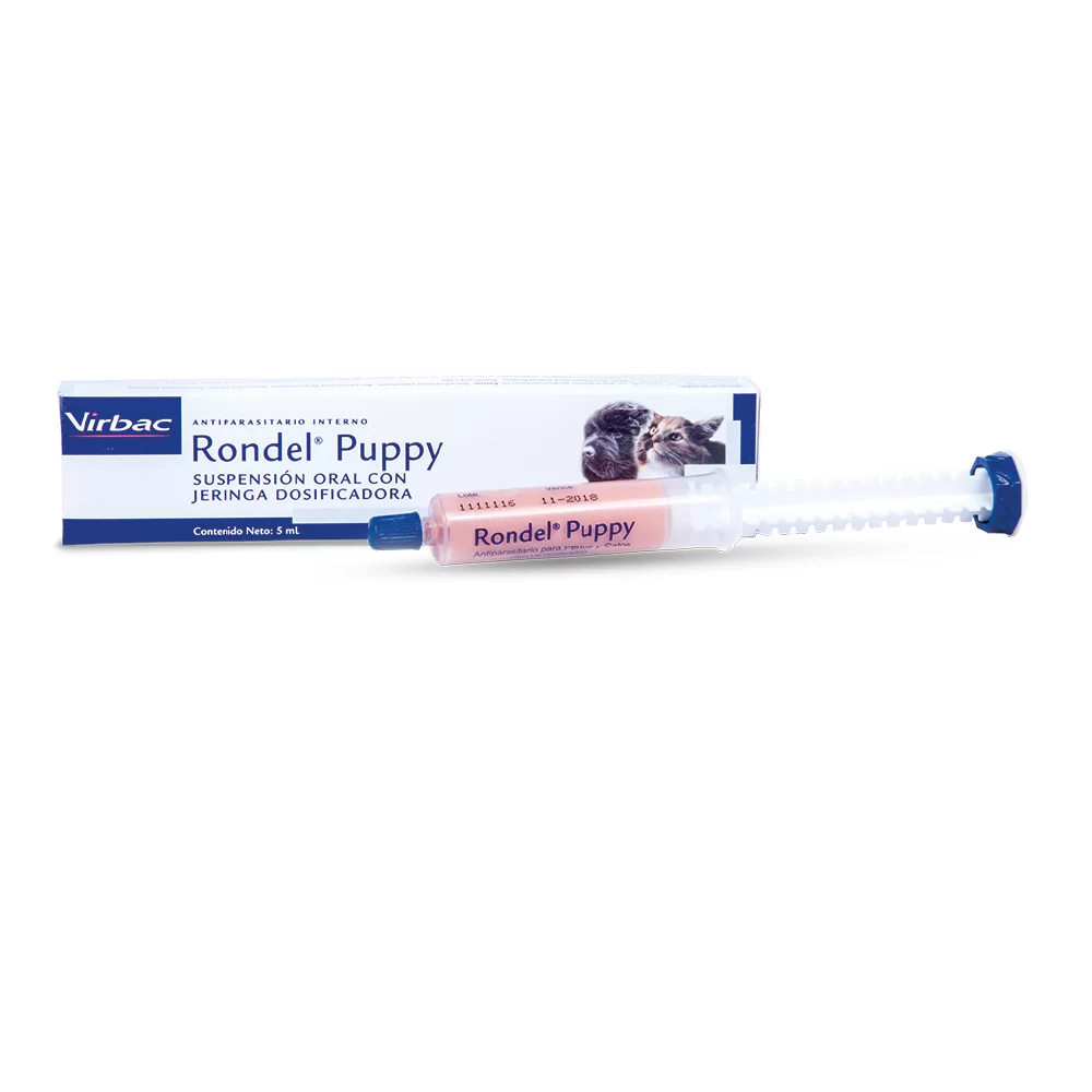 Rondel Puppy
