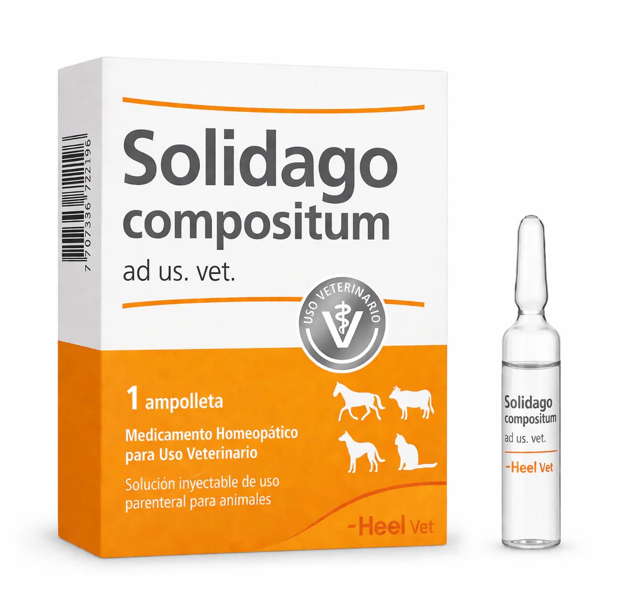 SOLIDAGO COMPOSITUM AD US VET AMPOLLA