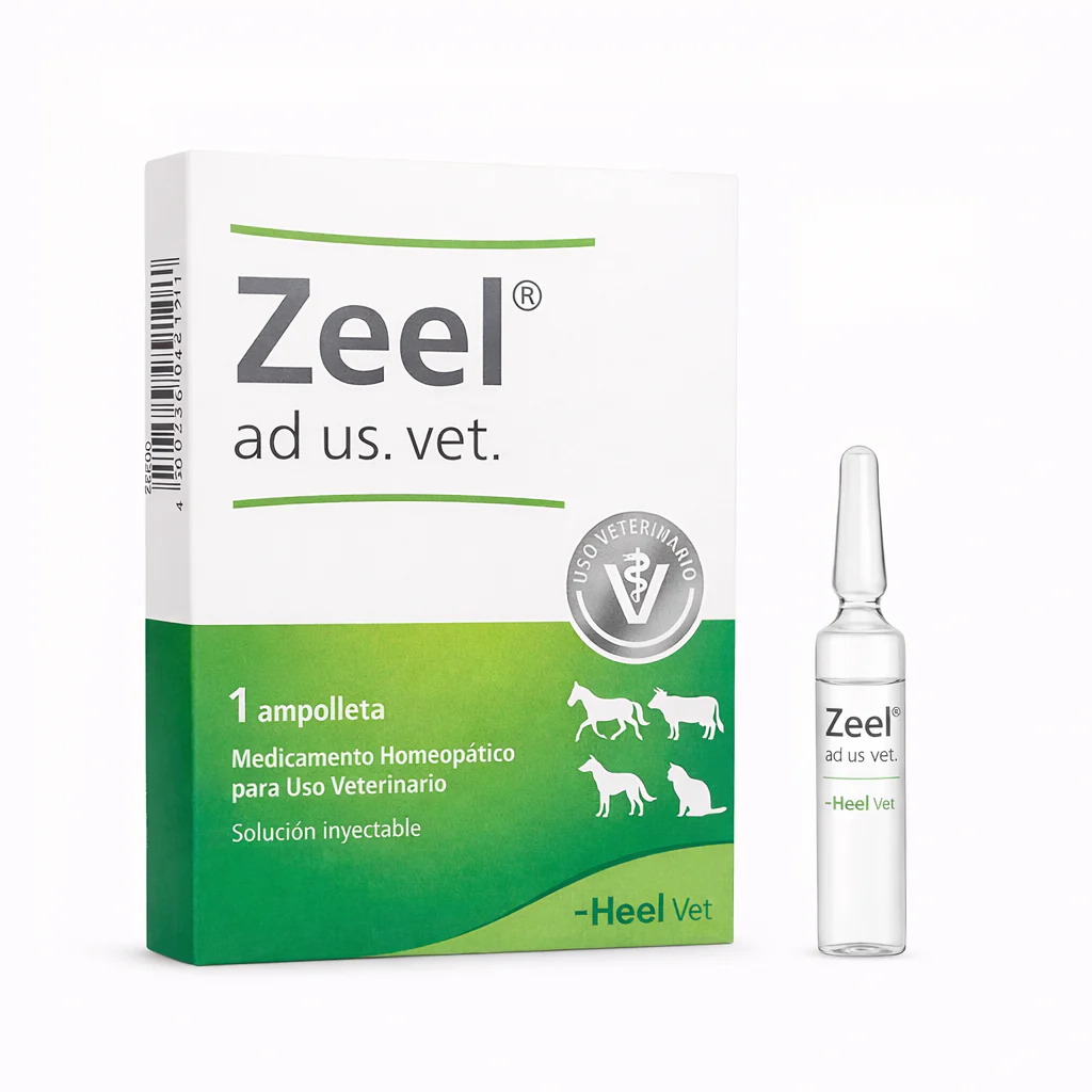ZEEL AD US VET AMP
